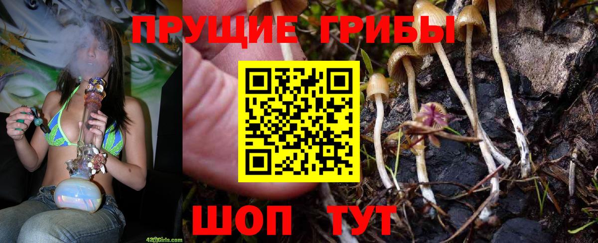 Псилоцибиновые грибы ЛСД  Псилоцибиновые грибы Psilocybine cubensis  Усолье-Сибирское  магазин продажи наркотиков  Вход с VPN 